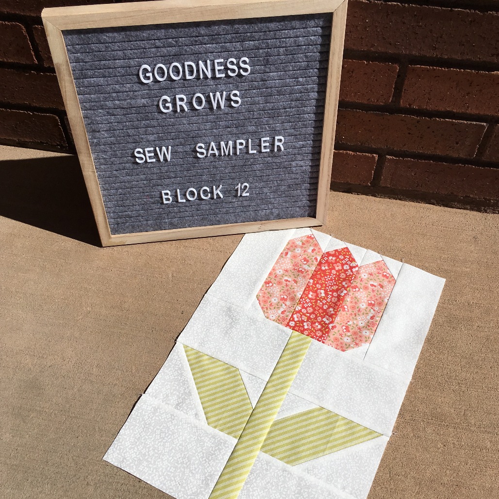 Happy Quilting March Sew Sampler!!!