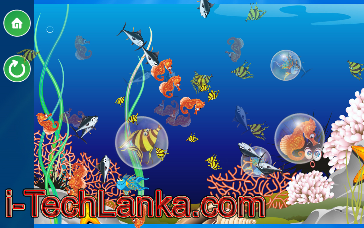 crawler 3d marine aquarium screensaver 4.2.5.9 free download crawler 3d marine aquarium screensaver 4.2.5.9 free download