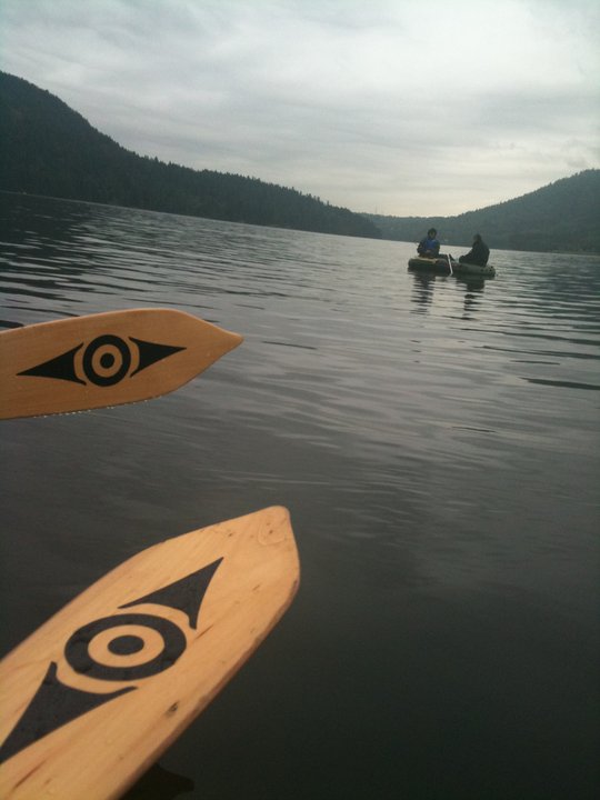 Parrots, Paddling, and Ponderings Paddles with Wolves on Indian Arm