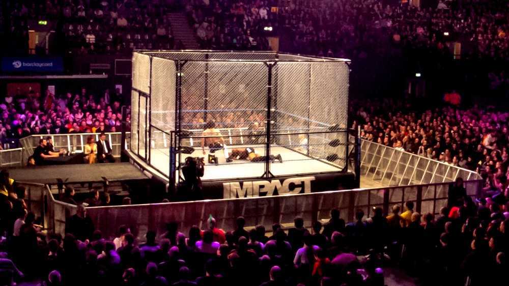 Professional wrestling match types