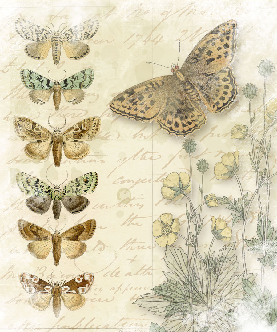 Bountiful Heirlooms: Free Printables: Journaling Cards