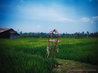 Simple Traditional Balinese Shrine Sanggah Crukcuk From Bamboo In The Rice Field Ringdikit North Bali Indonesia