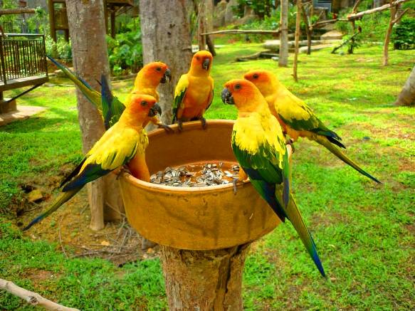 Taman burung melaka