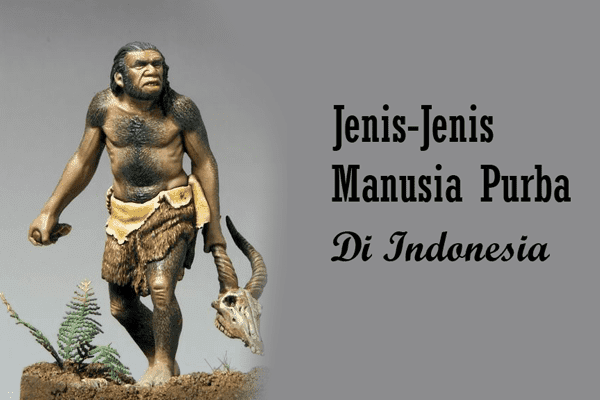 Gambar Manusia Purba Dan Penjelasannya – pulp