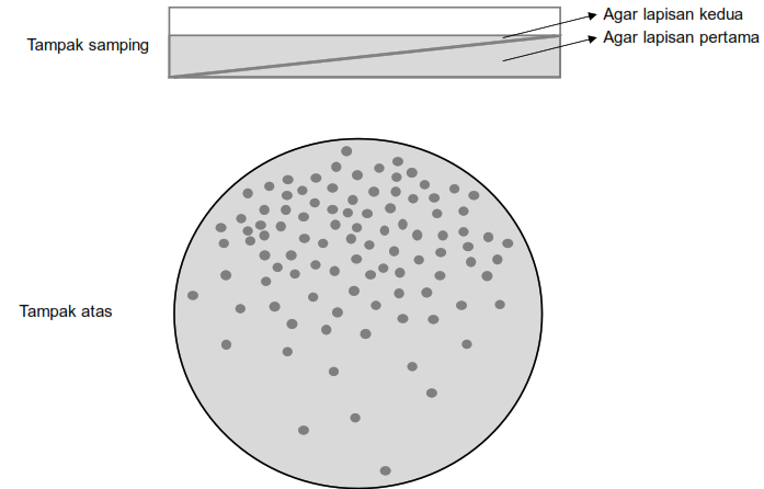 Soal Osk Biologi 2017 Juara Pendidikan