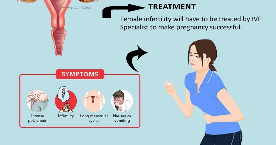 Alimentación endometriosis