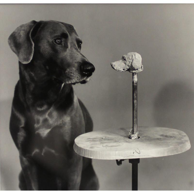 William Wegman The Dog Calendar Guy