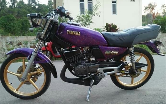 Modifikasi Rx King Warna Ungu Polos, Original, Metalik, Terong, Muda