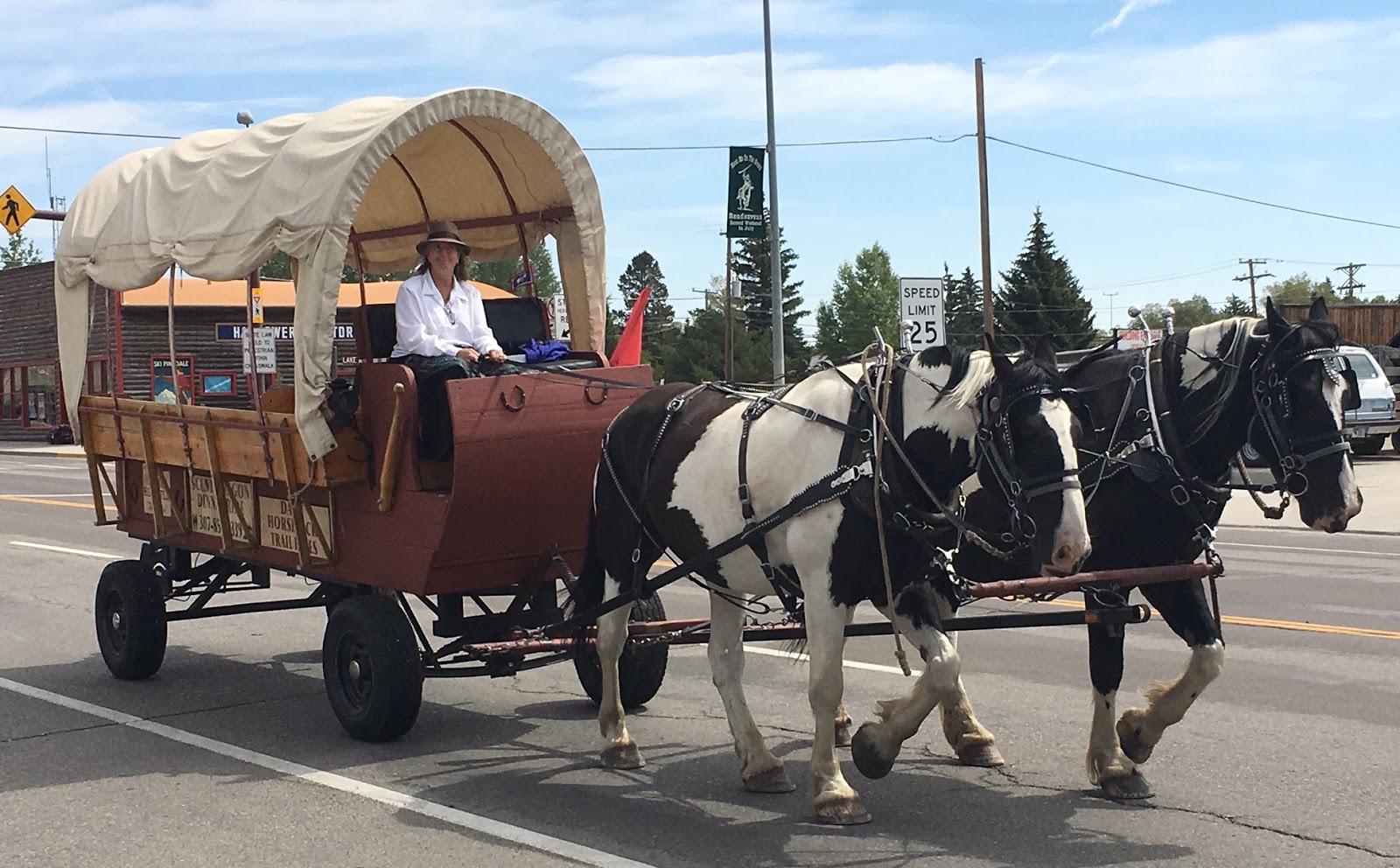 Pinedale, WY; Rocky Mountain National Park; RV Repairs; Buckley AFB; MORE SNAKES! LifeAsTySeesIt