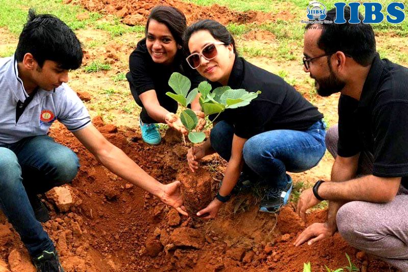 IIBS BangaloreReview Tree Plantation on Independence Day at IIBS
