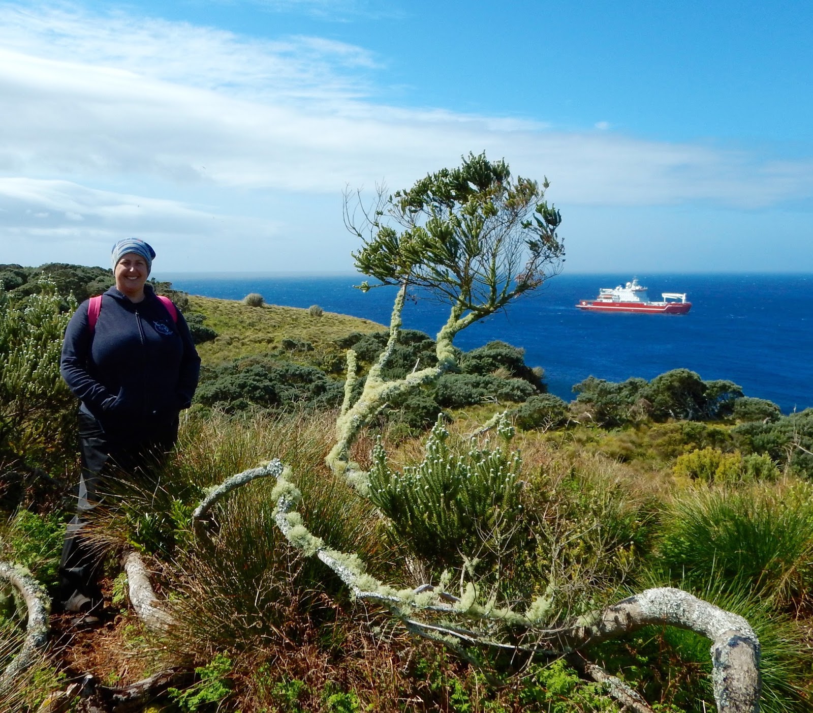 SOCCOM At Sea A Day On Gough Island soccom-at-sea-a-day-on-gough-island
