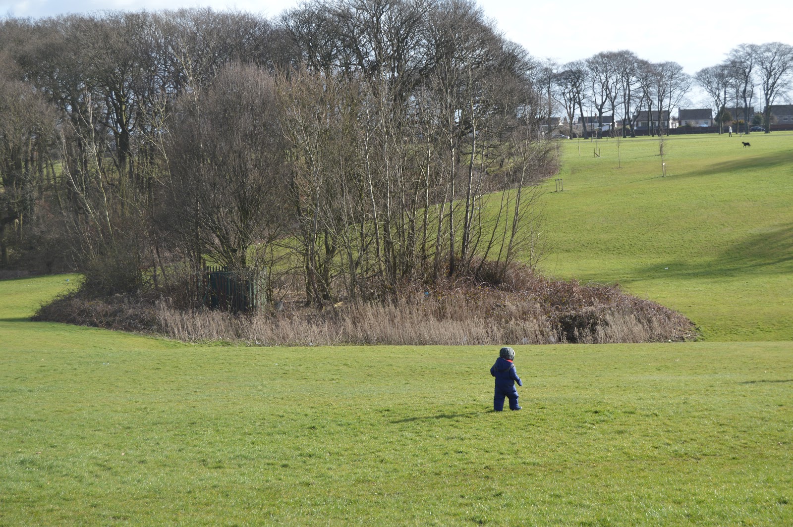 A boy walking down a hill