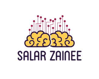 Salar zainee channel