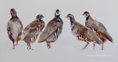 partridge art watercolour painting