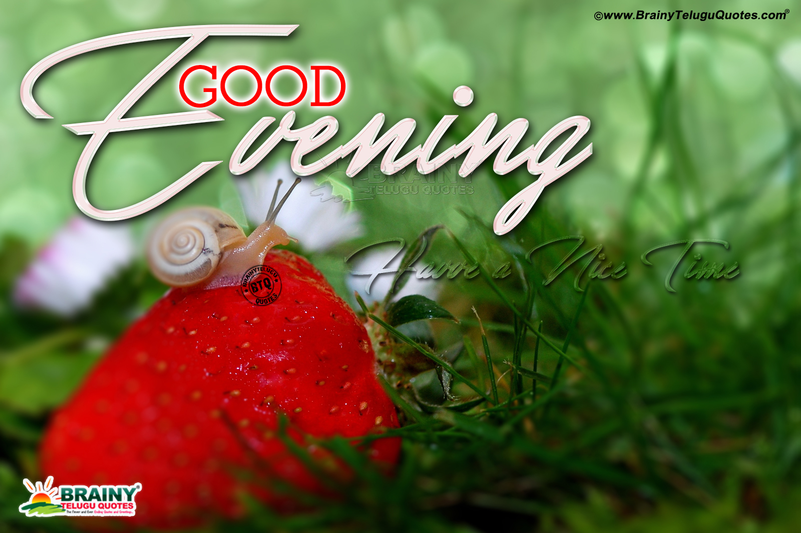 Good Evening Greetings in English With hd Wallpapers