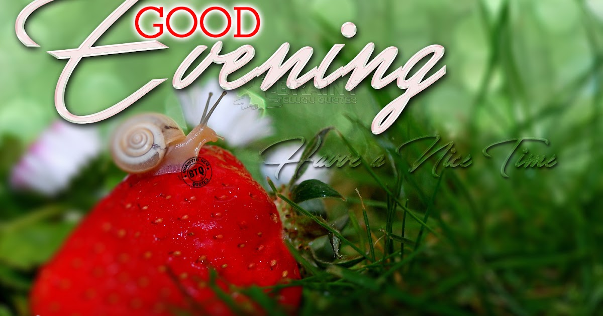 Good Evening Greetings in English With hd Wallpapers