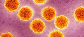 Awas Terinfeksi, Ini Dampak Hepatitis B bagi Ibu Hamil Awas Terinfeksi, Ini Dampak Hepatitis B bagi Ibu Hamil