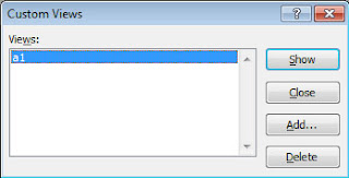 Ms excel Custom View worksheet
