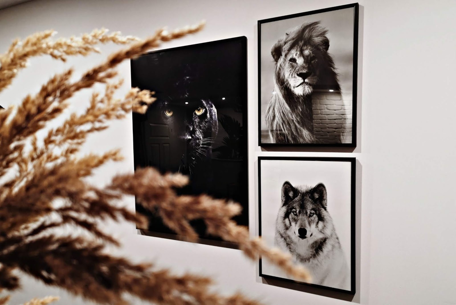 Moje galerie naścienne z plakatami Poster Store