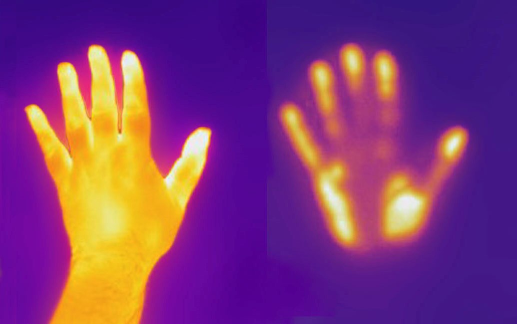 Scientists create a system that allows humans to see infrared light