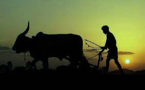 भारतीय किसान
