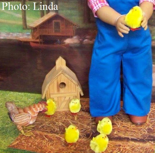 Living A Doll's Life DIY Kit's Chicken Keeping Set