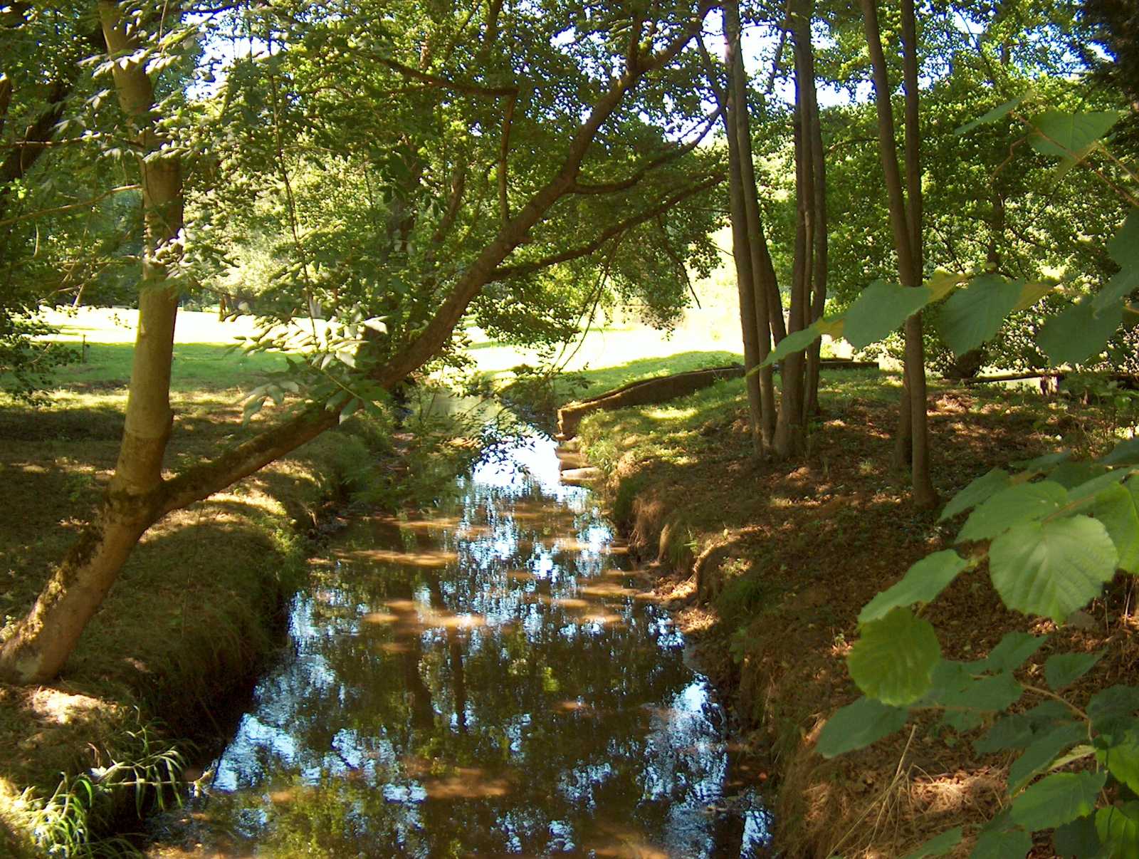 Breuillet Nature Parc naturel régional de