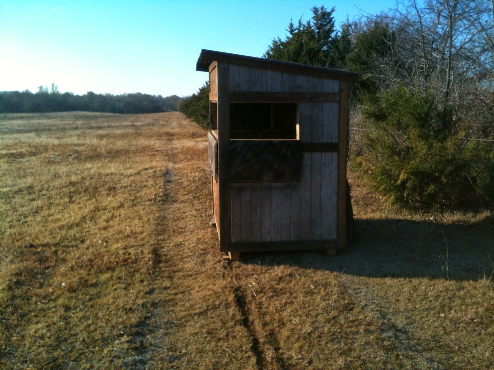 Watch Out For The Bull: Deer Hunting Out of a Box Blind