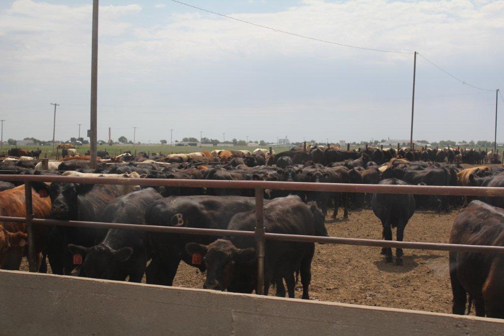 Rob Cook From Oklahoma to Kansas
