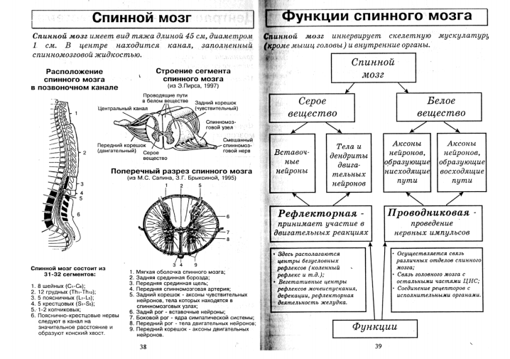 Схема по биологии