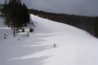 100_3459.JPG