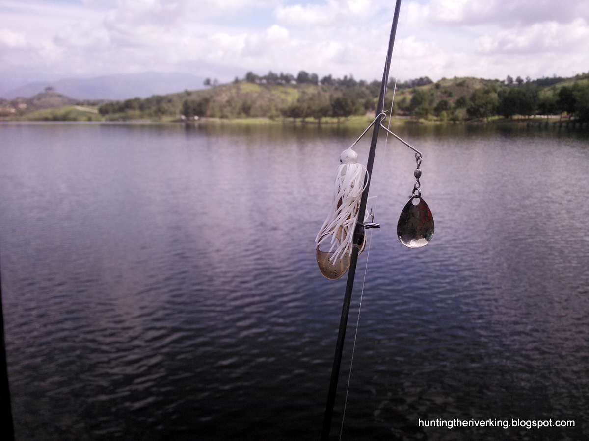 Bass Fishing at Puddingstone Reservoir Hunting the River King