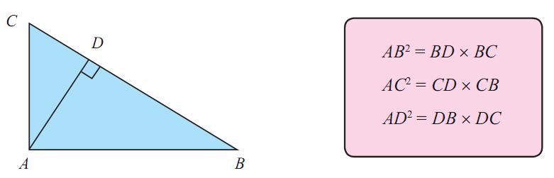 Kekongruenan Dan Kesebangunan Pak Hari
