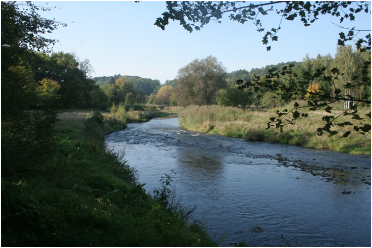 Honiglikore Im Praxistest Teil 3 Das Bartender Labor