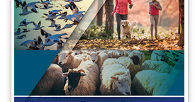 Avian Flu Diary: CDC: The 8 Zoonotic Diseases Of Most Concern In The