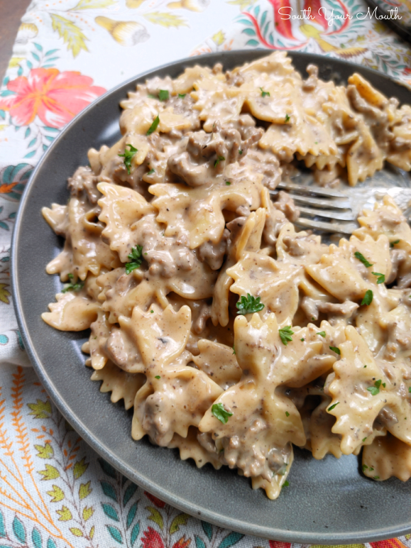 South Your Mouth Helpful Hamburger Stroganoff