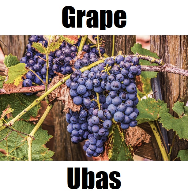 Grape in Tagalog