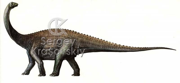 Saltasaurus