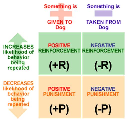 Positive and Negative Reinforcement and Punishment ~ My Perception of World