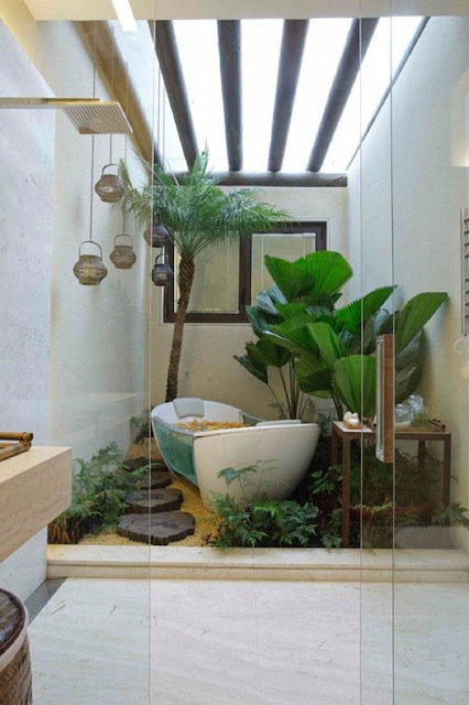 Indoor Wall Garden