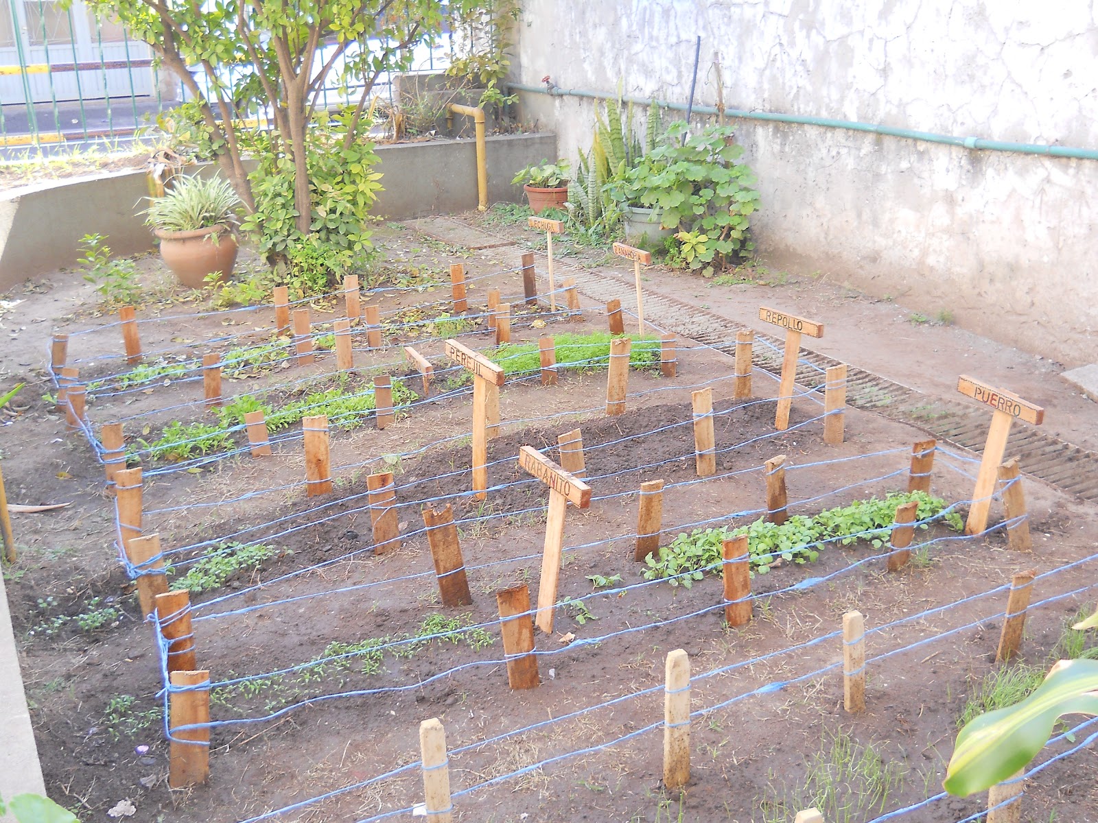 Proyecto De Huerta Para Personas Con Discapacidad
