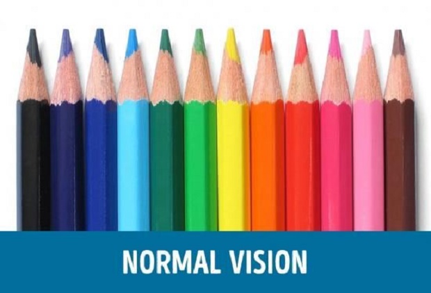 Tahukah Anda ? Perbandingan Penglihatan Mata Normal dengan Mata Buta Warna