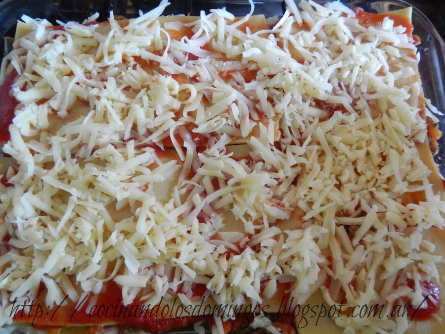 lasaña de carne y vegetales