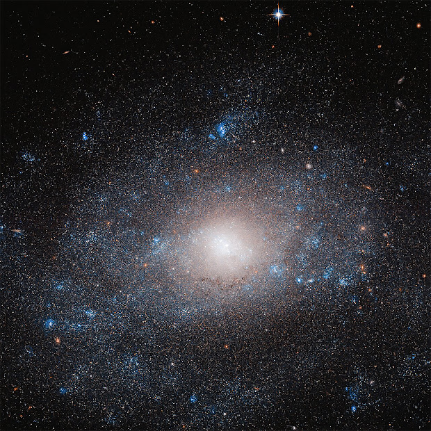 Spiral Galaxy NGC 5585