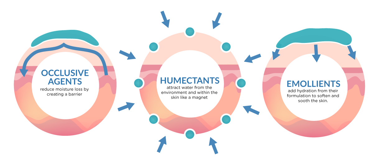 Snehal Skin CareWe care your beauty! Moisturizer