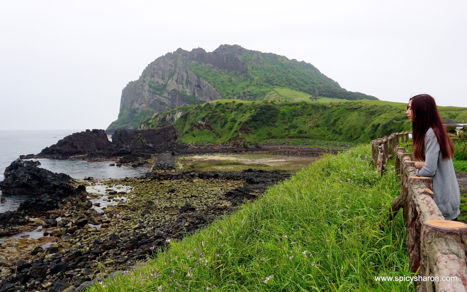 Korea Travelogue: 2D1N Jeju Island Travel Guide. - Spicy Sharon - A