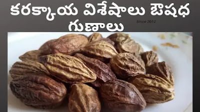 gallnut uses gallnut powder benefits gallnut meaning in hindi gallnut meaning gallnut powder where to buy gallnut gallnut powder amazon gallnut tree