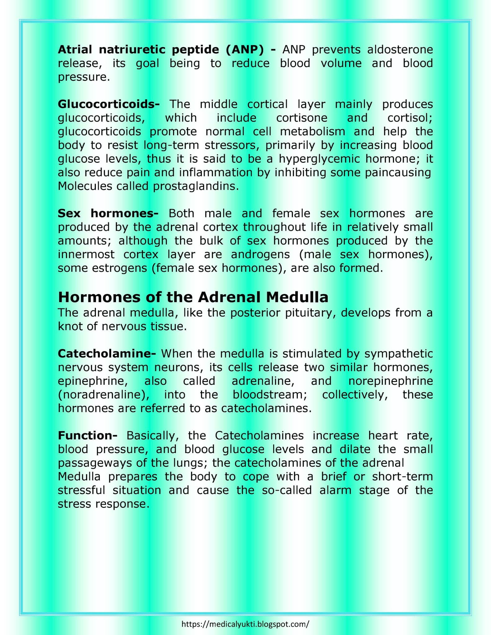 Endocrine System Anatomy Physiology - Medical Yukti