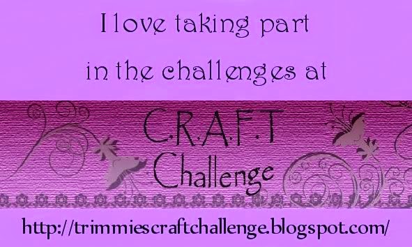 TRIMMIES CRAFT CHALLENGE.