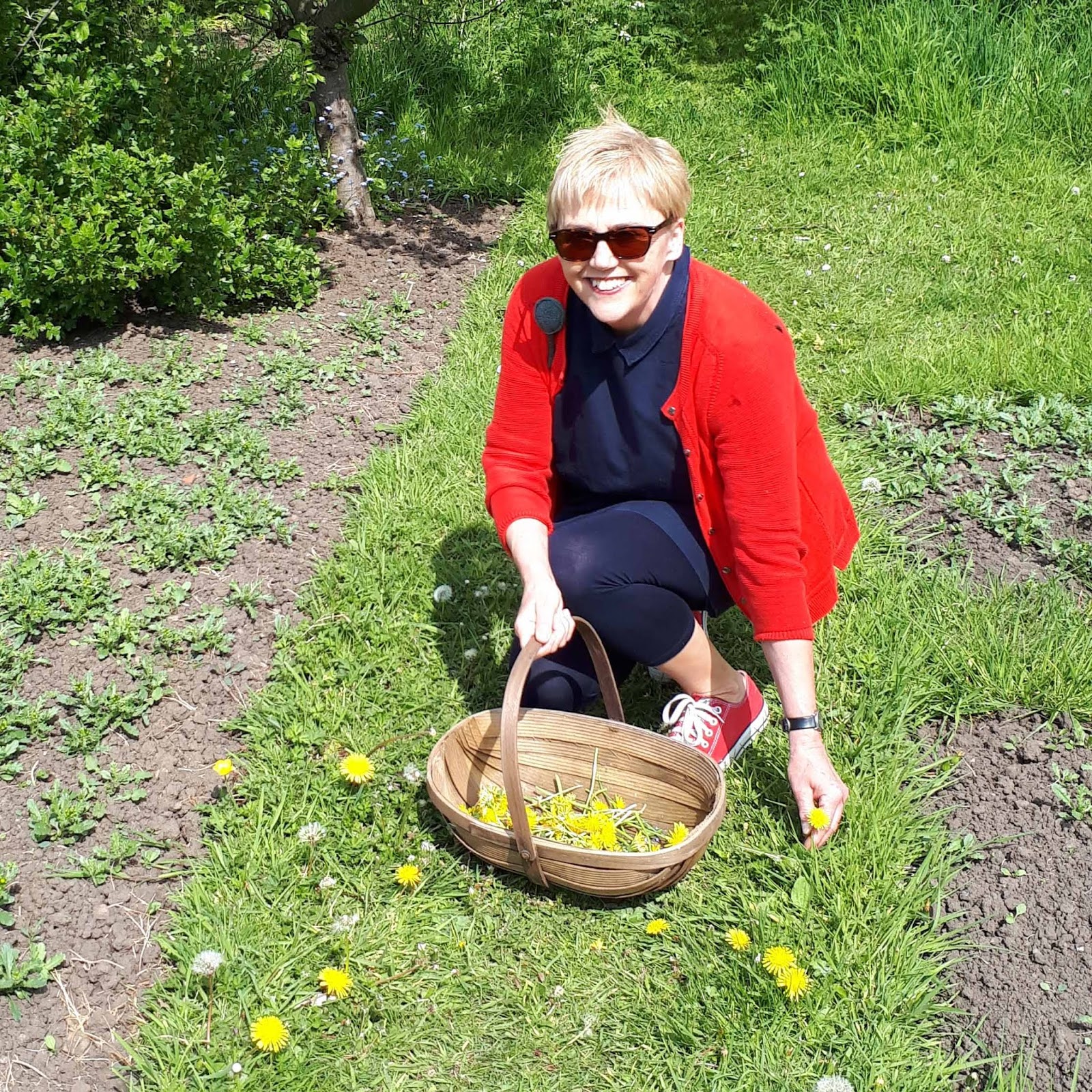 Hippystitch Dyeing with Dandelions